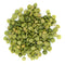 Organic Peas Green Split 2 kg