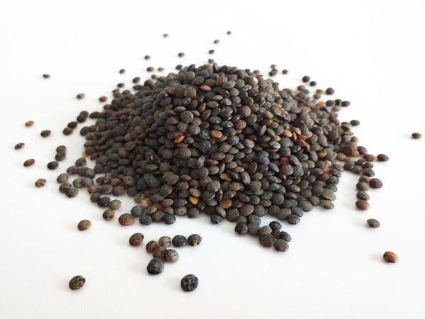 Organic French Du Puy Lentil 2 kg