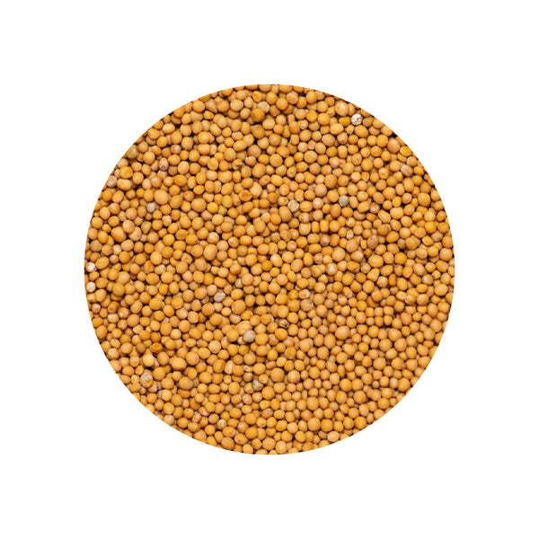 Westpoint Naturals Organic Mustard Seed 50 G