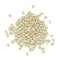 Organic White Navy Bean 2 kg