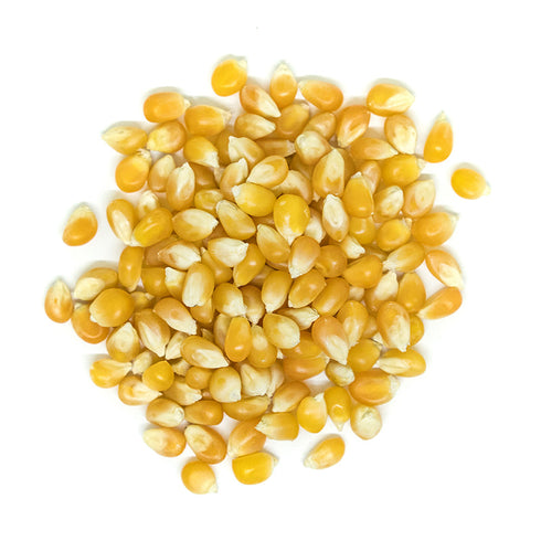 Organic Popcorn Kernels 10 kg