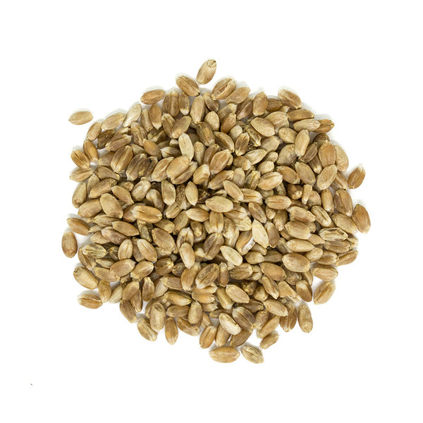 Organic Hard Wheat Kernels 2 kg