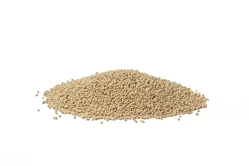 Active Dry Yeast 2 kg